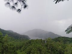-田心森林公园