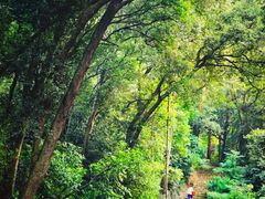 -飞霞风景名胜区