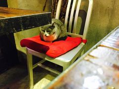 -MIKAKU(万达广场上海宝山店)