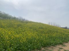 -河南财经政法大学(郑东校区)