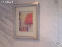 马桶上的画-上海唐朝酒店