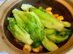 啫啫唐生菜-粤界(望京金辉店)
