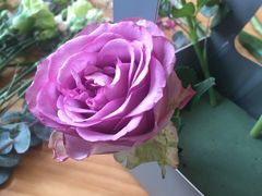 -森野花艺培训·企业团建活动沙龙