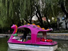 -团结湖公园