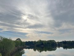 -苏州太湖国家湿地公园