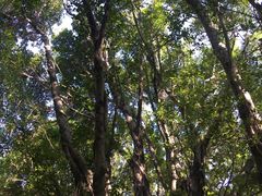 -船政文化景区-罗星塔公园