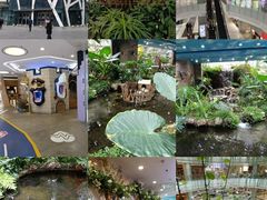 -凯德广场(学府店)