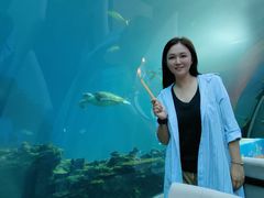 -涛·海底餐厅·美人鱼·自助餐·海底隧道(三亚海棠湾洲际度假酒店)