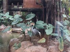 -长鹿旅游休博园