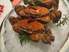 -福玺荟(外滩罗斯福店)