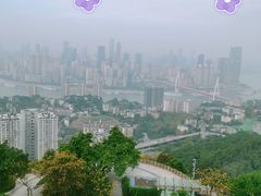 -南山植物园