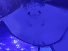 -重庆欢乐海底世界