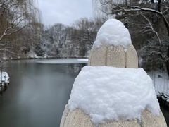 -国家植物园