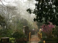 -黄山温泉国际旅游度假区