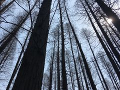 -茱萸湾风景区-售票处