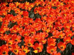 -长春公园(普阳街道)