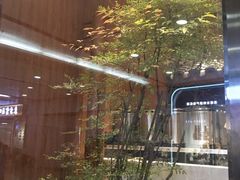 -茶理宜世(花城汇中区店)
