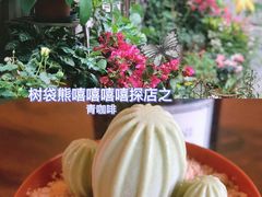 -青咖啡(三坊七巷店)