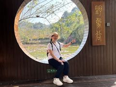 -野象谷景区
