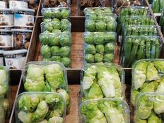 -果蔬好生活超市(乐堤港店)