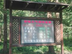 -黄海国家森林公园