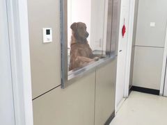 -特一安24小时宠物医院·骨科·中兽医