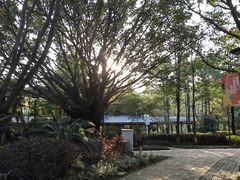 -金山公园