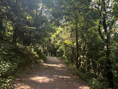 -虞山风景区