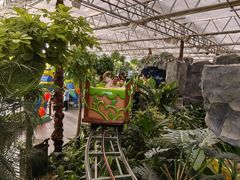 -南宫五洲植物乐园