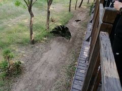 -南海子公园