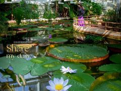 -国家植物园南园