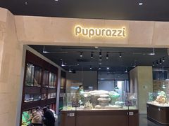 -帕帕拉兹宠物(亚洲旗舰店)