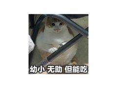 -必胜客(五道口店)