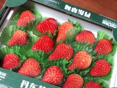 -元初食品(幸福e家小区店)