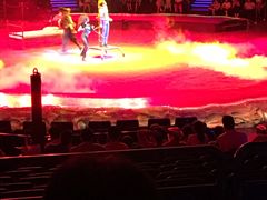 -珠海横琴长隆《卡卡虎奇遇记》