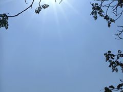 -海荣锅贴馆(五味十字店)