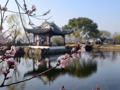 -无锡蠡湖国家湿地公园-蠡园