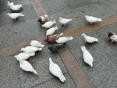-杭州君悦酒店