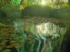 -厦门日月谷温泉渡假村