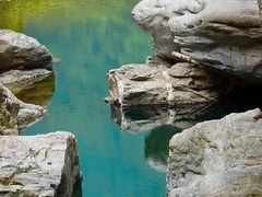 -黑河国家森林公园