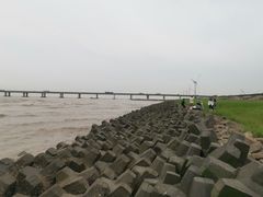 -南汇新城海滩