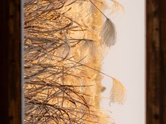-四明湖