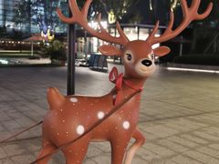 -深圳湾万象城(南山店)