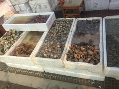 -青岛沙子口国家中心渔港