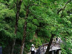 -瓦屋山景区
