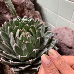 -LILY NAILS美甲美睫