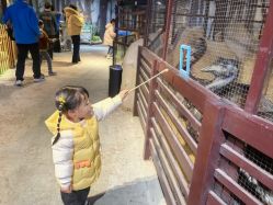 点击看大图 -酷嗒动物文化乐园(cutezoo西溪乐天城店)