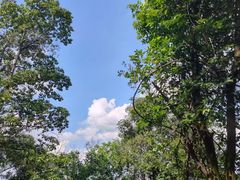 -广州市白云山风景名胜区