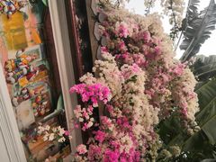 -深圳国际园林花卉博览园