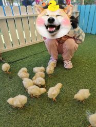 -萌宠亲子动物乐园(槐房万达店)